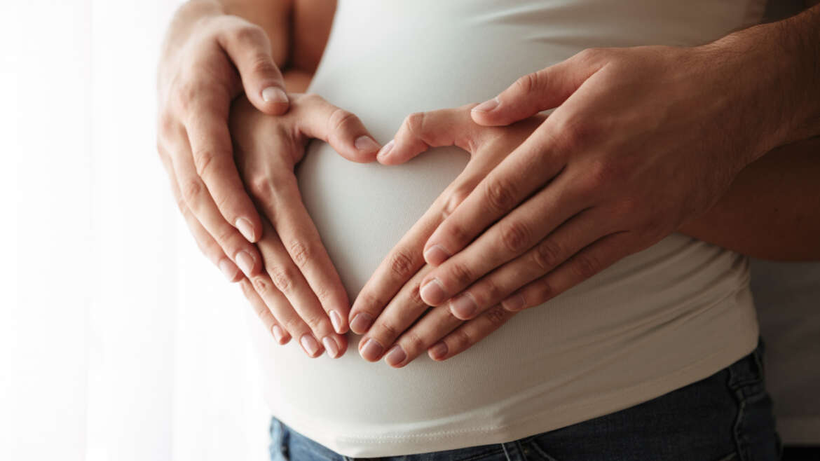 Embryo Transfer