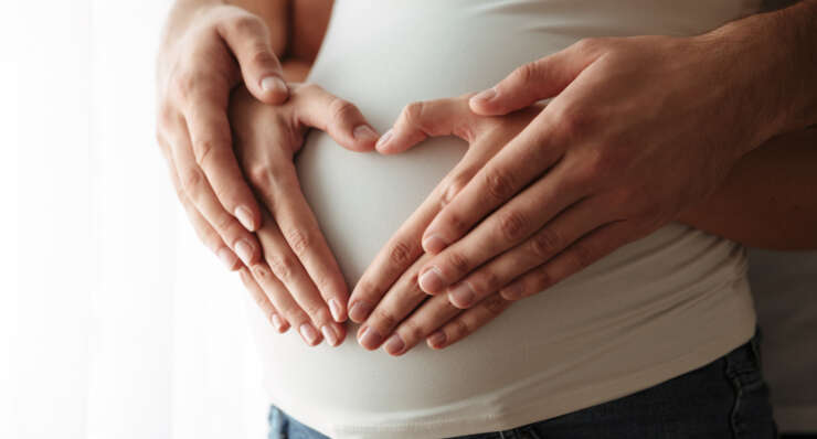 Embryo Transfer